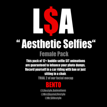 Second Life Marketplace - L$A - "Aesthetic Selfies" FEMALE PACK